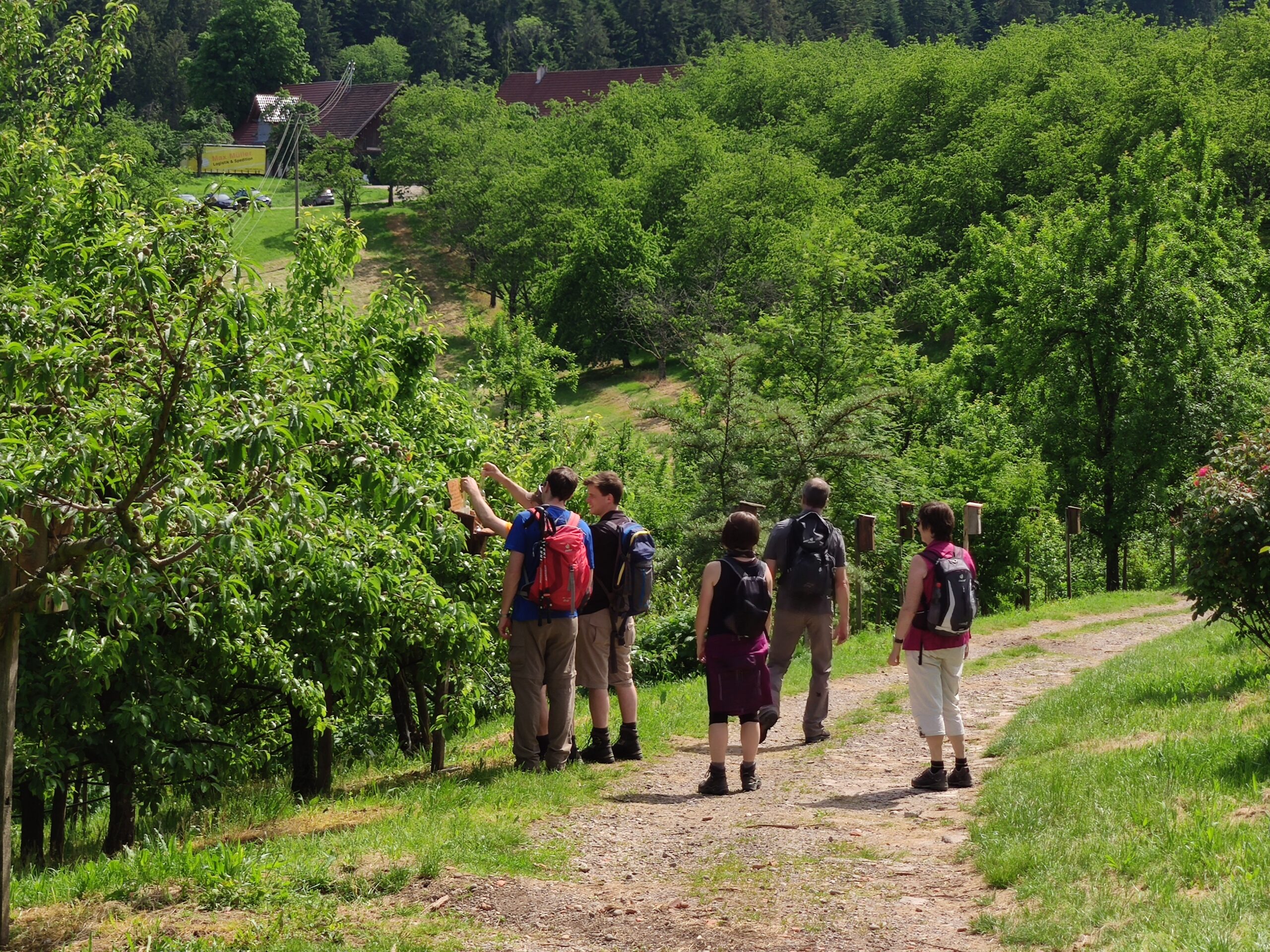 SCS Tageswanderung